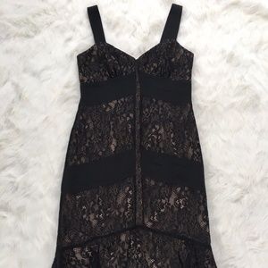 Ann Taylor Loft Sz 4 Lace Dress